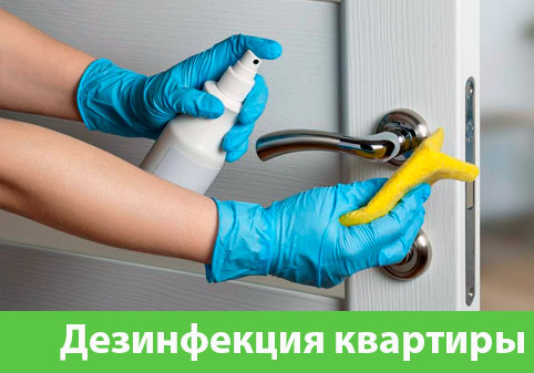 Дезинфекция квартиры в городе Азнакаево