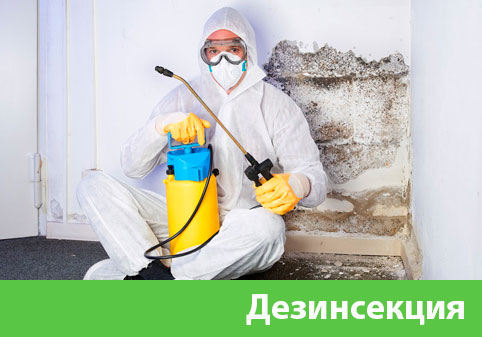Дезинсекция в городе Азнакаево