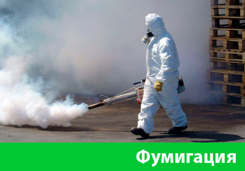 Фумигация в городе Азнакаево