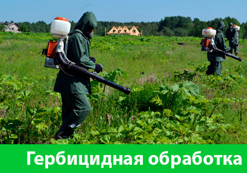Гербицидная обработка в городе Азнакаево