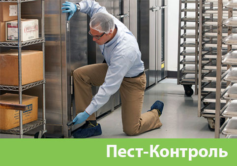 Пэст-Контроль в городе Азнакаево