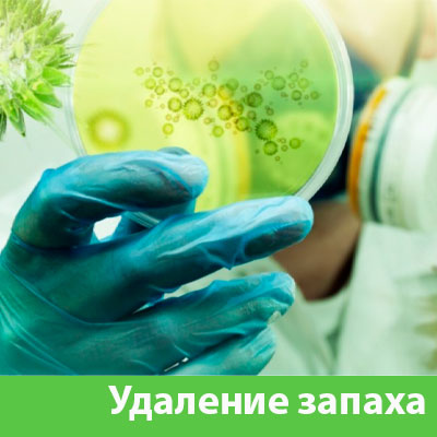 Удаление запахов в Азнакаево
