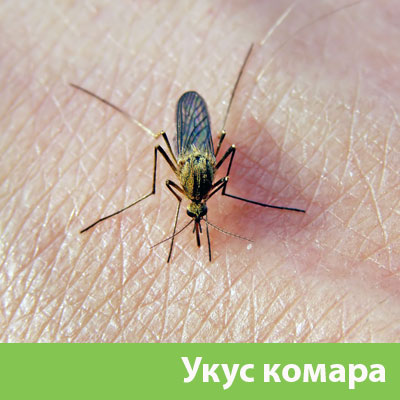 Укусы комаров в Азнакаево