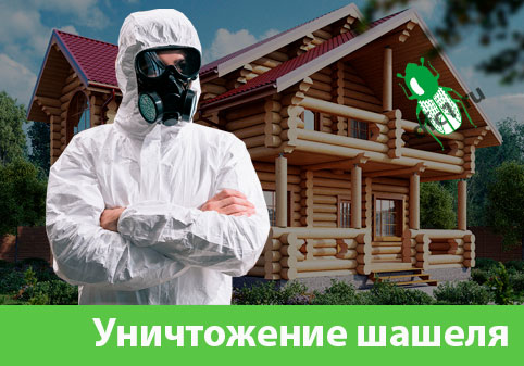 Уничтожение шашеля и личинок в Азнакаево
