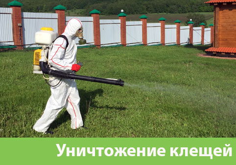 Уничтожение клещей в городе Азнакаево