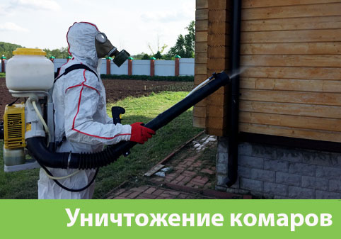 Уничтожение комаров в городе Азнакаево